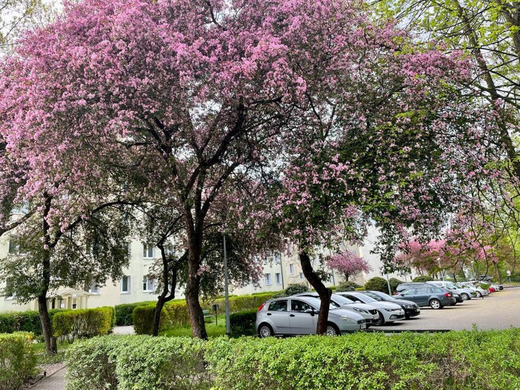 Apartament Rataja50 Olštýn Exteriér fotografie